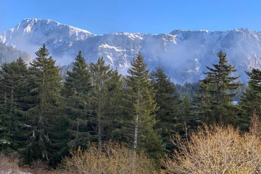 V du Bachat Arolles A N°21 - 4P8 - foto 22