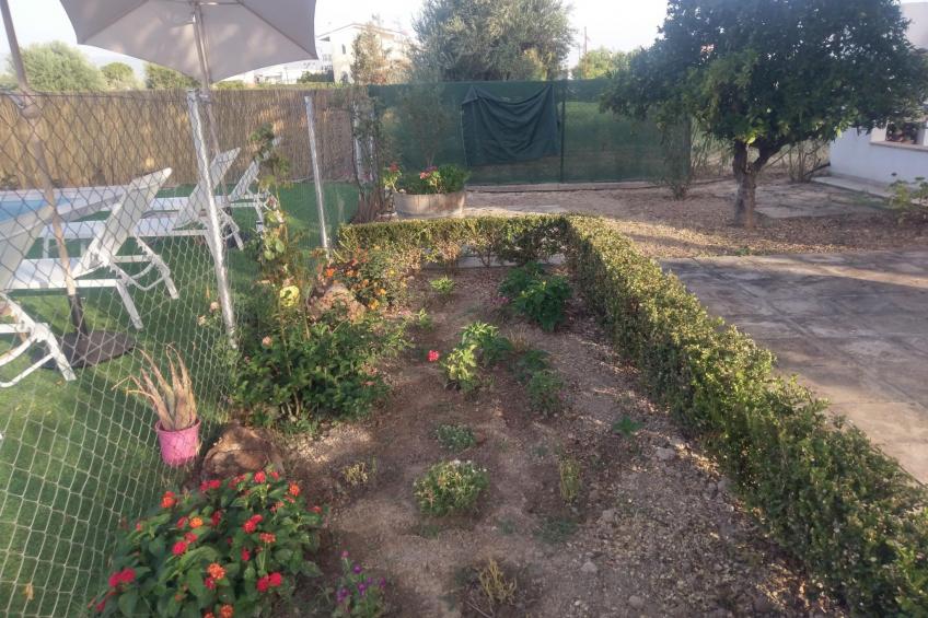 neben Orangenbaum-Obstgarten - foto 31