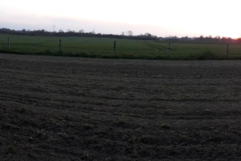 Land-Ferienhaus - foto 29