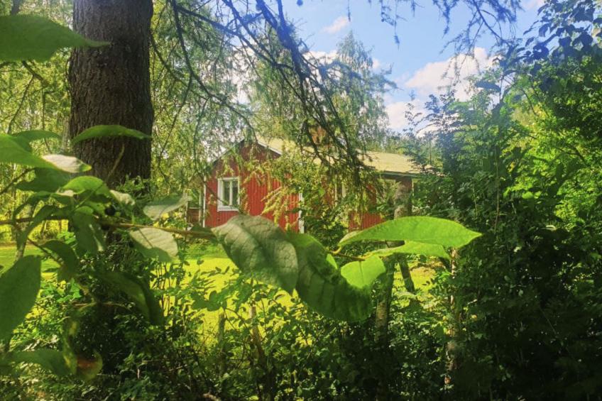 Gemütliches Ferienhaus Angermanland - höga Kusten - foto 22
