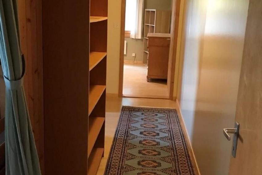 Soldanella - foto 10