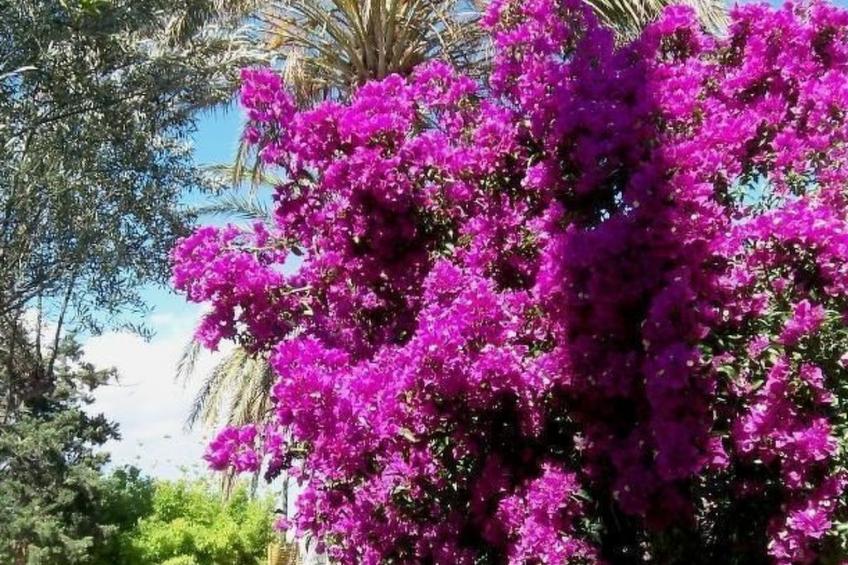 Ferien im Herrenhaus - foto 17