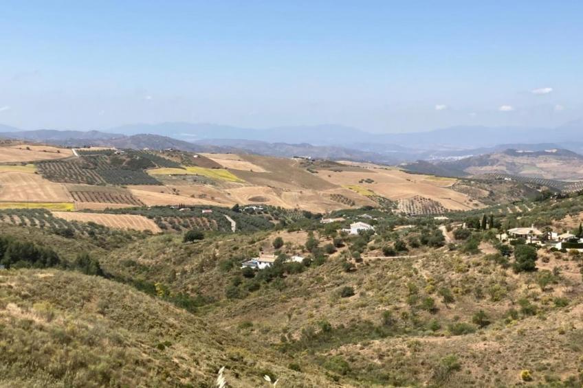 Casa Villa Campito - foto 31