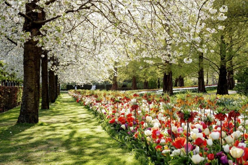 Log cabin | 2 pers. - foto 25