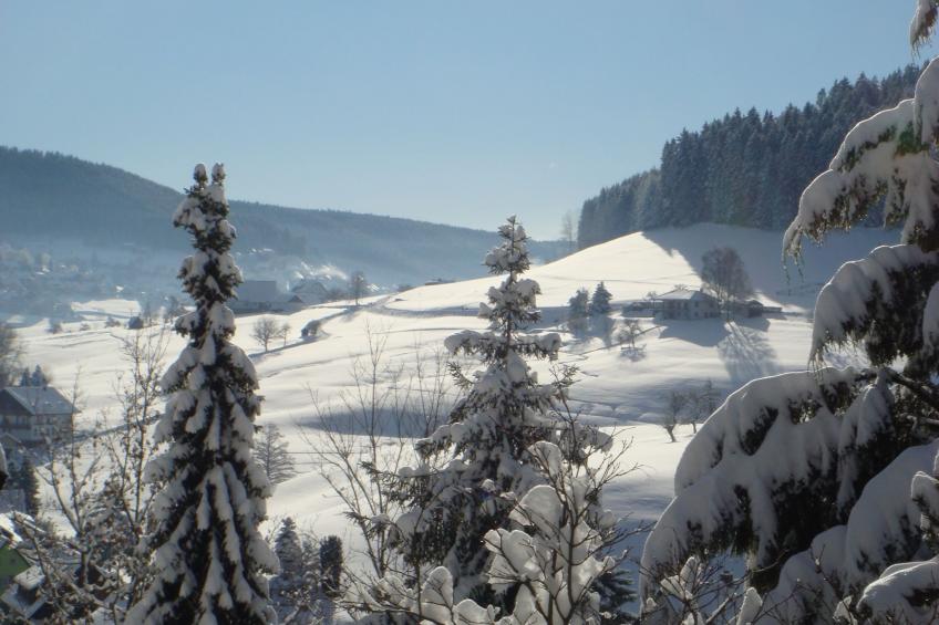 Schwarzwald Idylle - foto 24