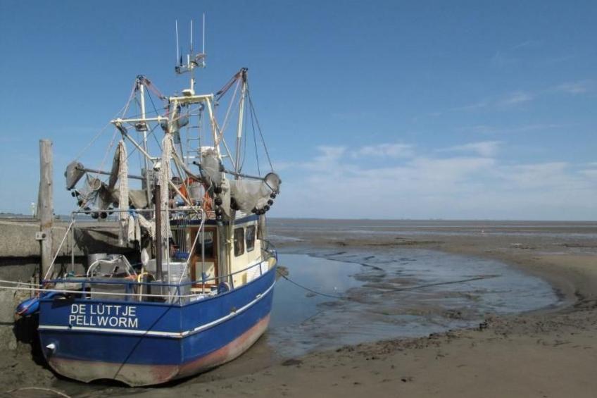 mit Terrasse - foto 22