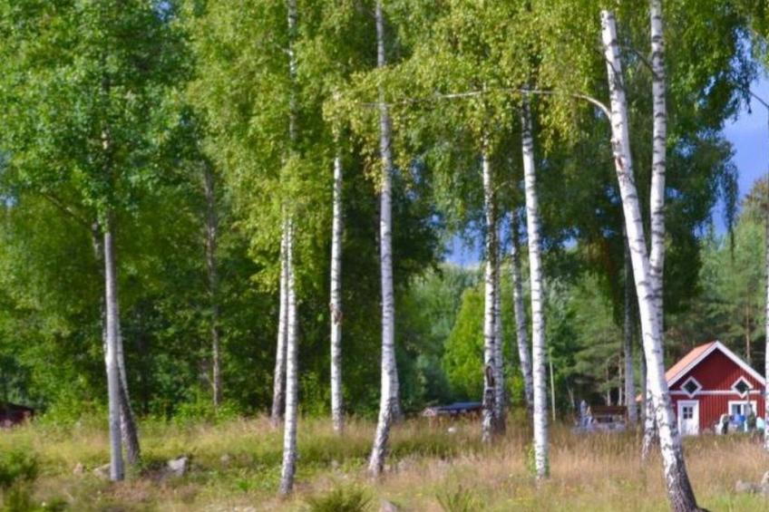 Särskilda - foto 45