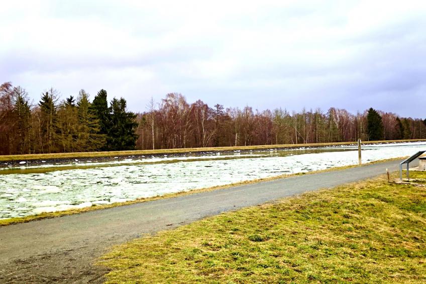 Forest chalet - foto 10