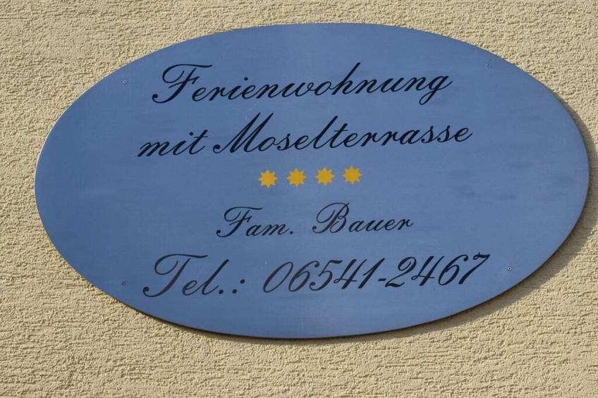 17554 - foto 30