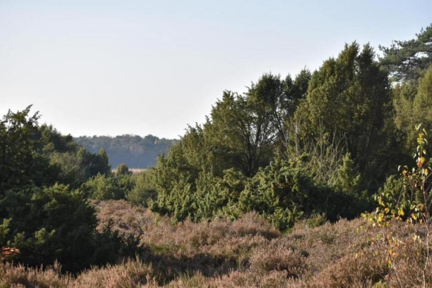 De Weide 4P - foto 27