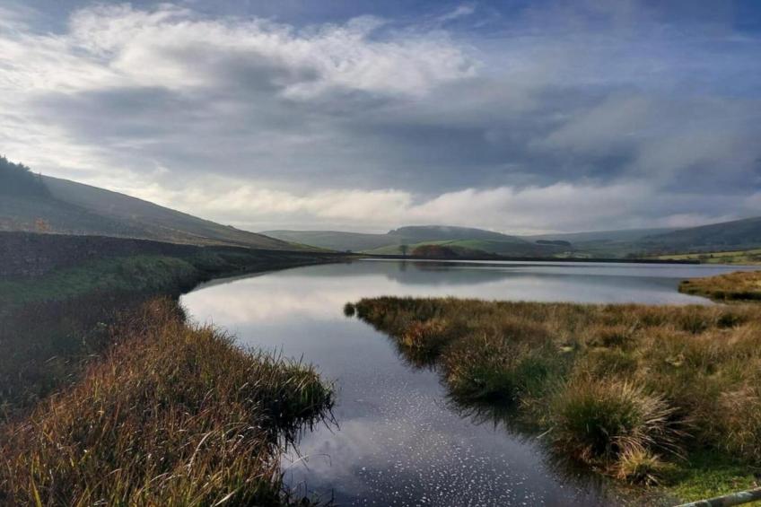 Five Waterings - foto 30