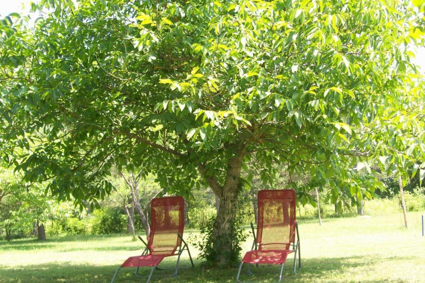 "Lana" mit Whirlpool - foto 21