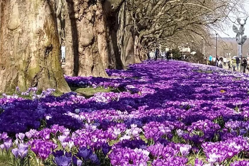 Agri-tourism , Jezierzyce - Type C - foto 17