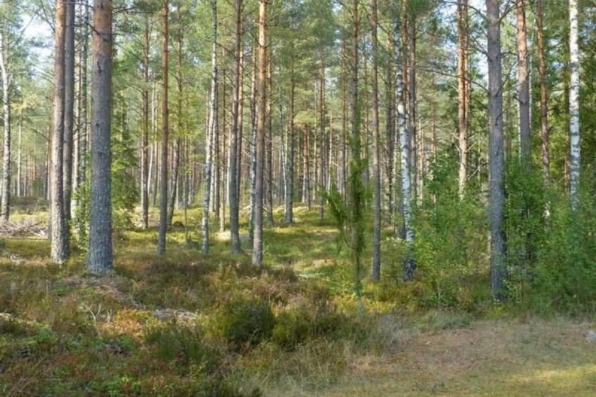 Gepflegtes Ferienhaus mit eigenem Saunahaus - foto 24