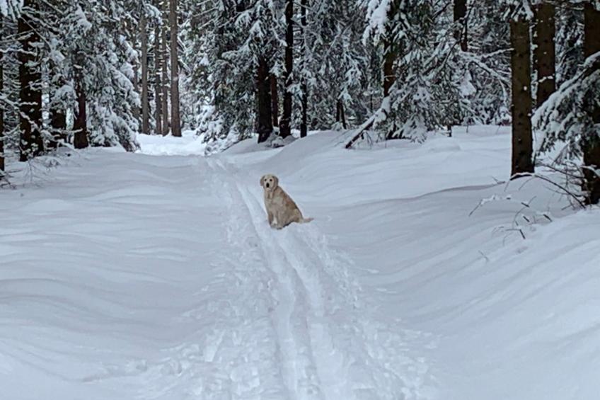 in Erlbach mit Grill und Terrasse - foto 24