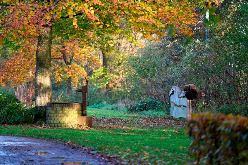 de Binnenhof - foto 51