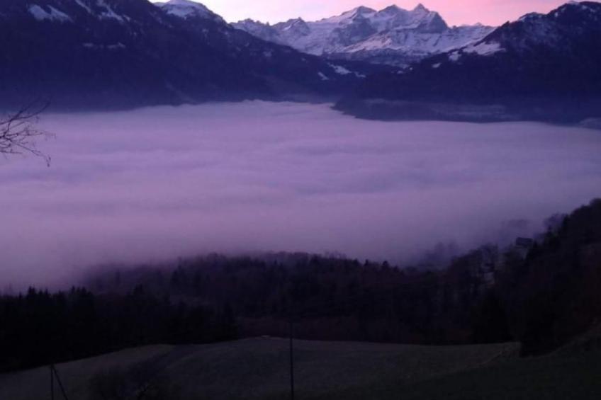 Appartement "Marina"