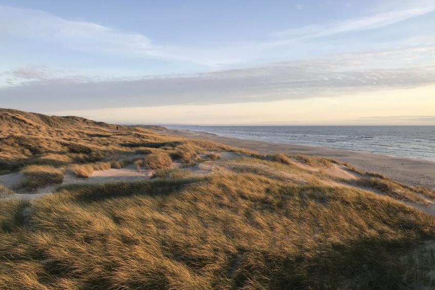 "Finna" - 1km from the sea in NW Jutland - foto 30