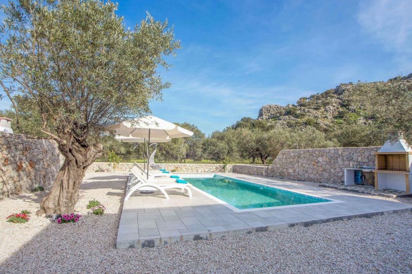 Kalathos Dream - Blauer Traum - foto 16