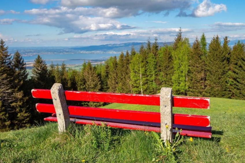 Fromsenrüti - foto 28