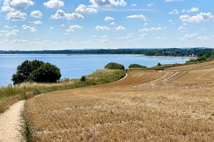 Platz im Grünen 3 - foto 28