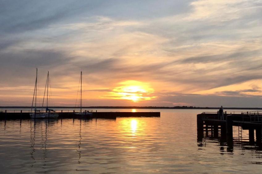 Wiesenblick 6 - foto 18