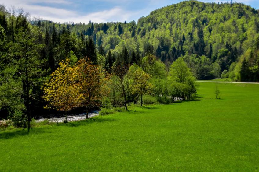 Makov Hrib - foto 19