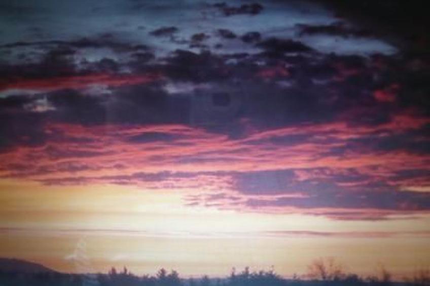 Eifelwaldhäuschen - foto 19