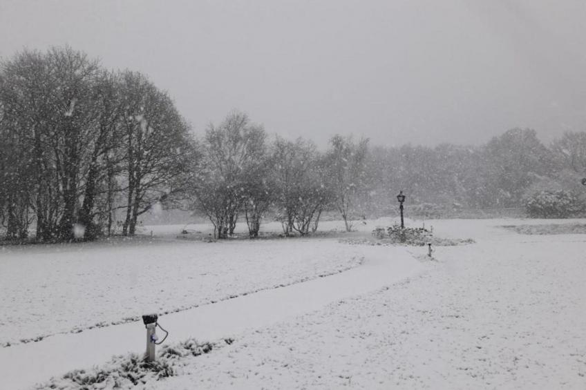 Parc de Kievit 23 - foto 38