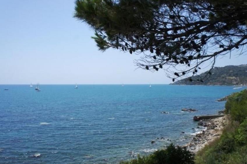 Wohnen in Traumhafter, ruhiger Lage am Meer - foto 32