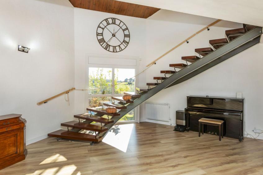 Finca el Olivar - foto 12