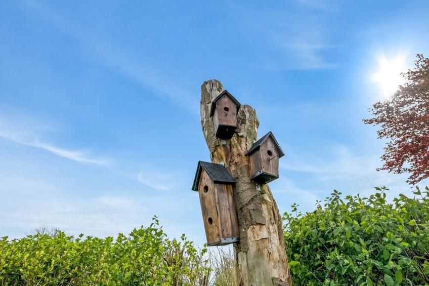 "Teija" - 300m from the sea in SE Jutland - foto 23