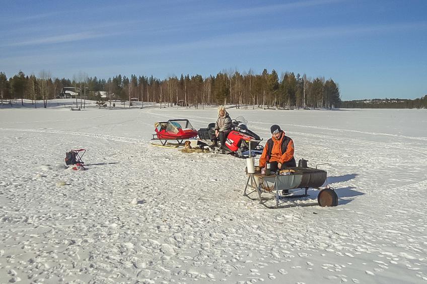 Lystikämän tupa - foto 21