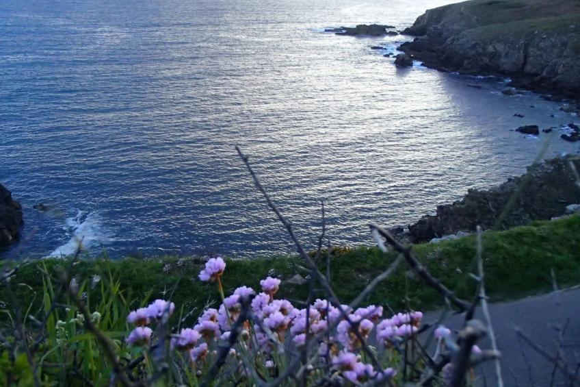 Chez joséphine frisch renoviertes bretonisches Haus - foto 15