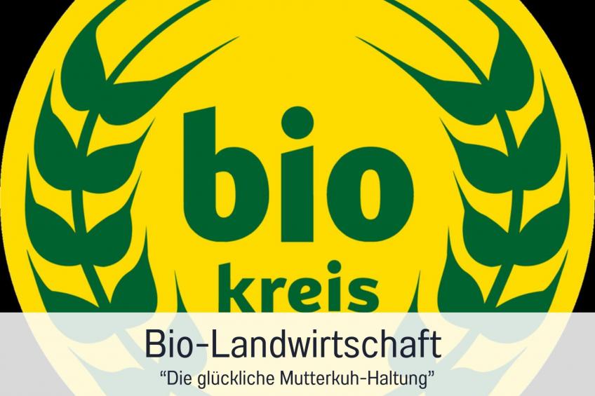 FeWo GRANAT - foto 19