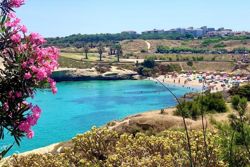 IL DELFINO - foto 35