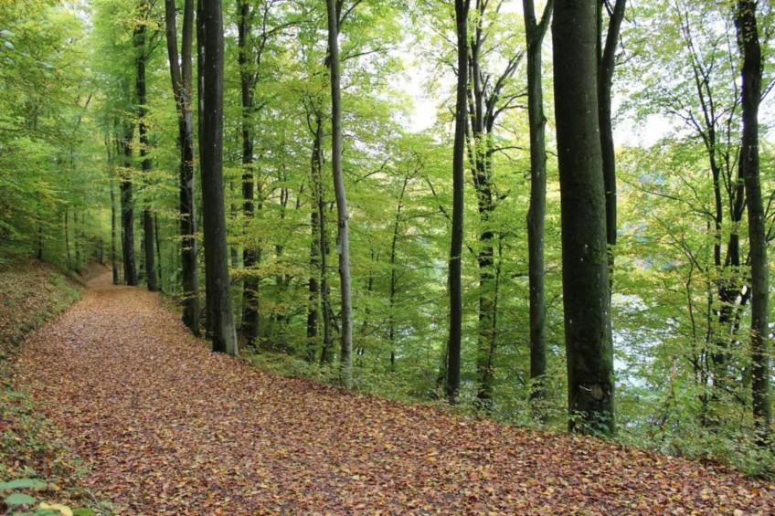 Eschbachtal - foto 24