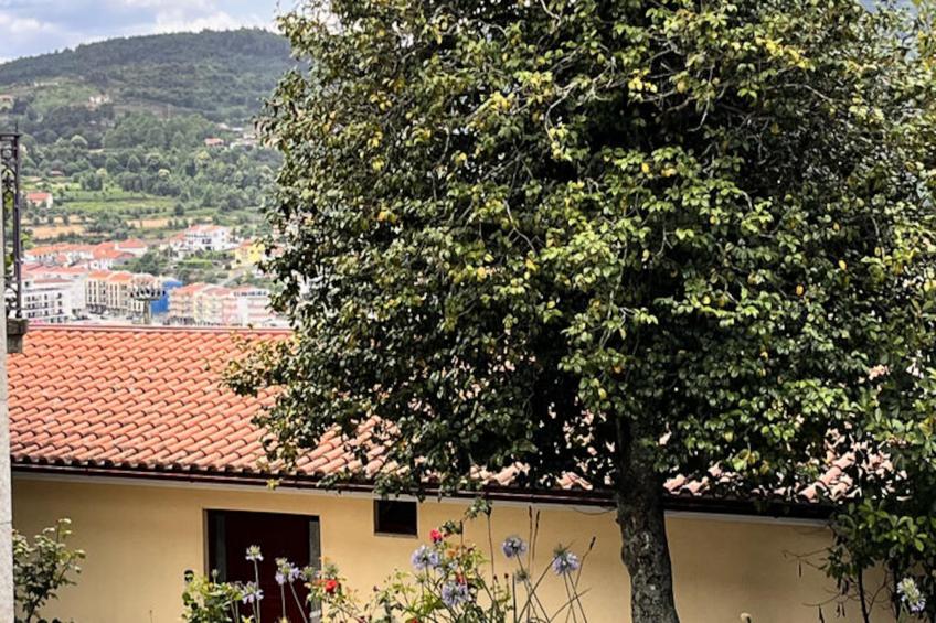 Maison à Cabeceiras de Basto - foto 11