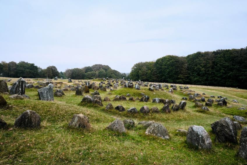 Jomfru Ane Premium Double - foto 25