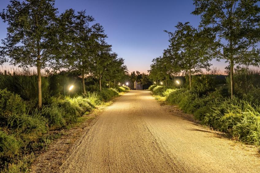 Große Trullo-Wohnung mit Schwimmbad - foto 14