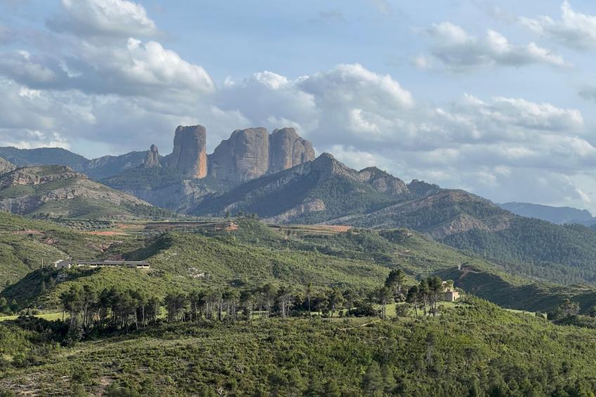 Antiguo Molino - foto 3