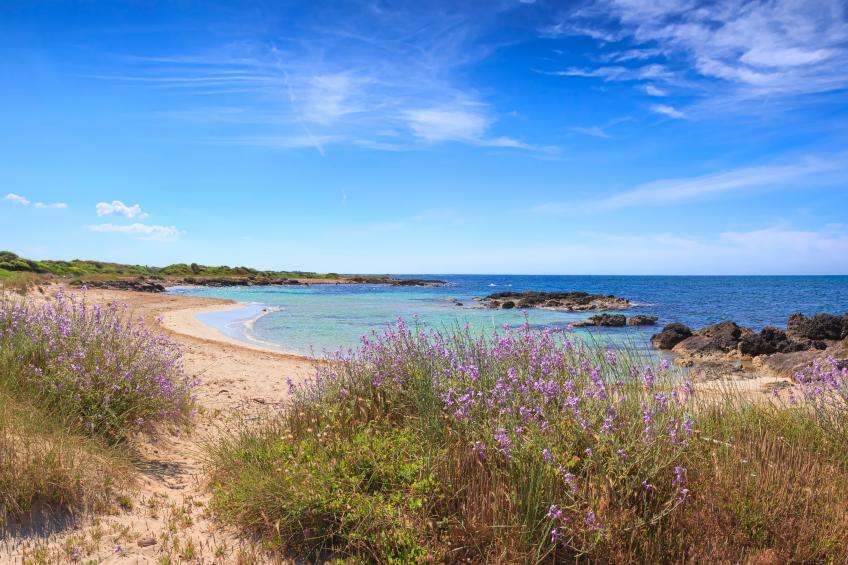 La Conchiglia di Torre Vado With Sea View - foto 22