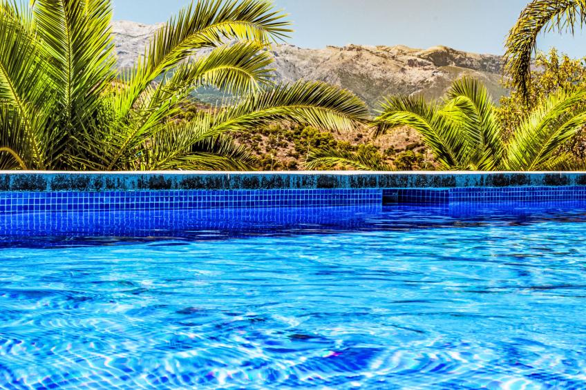 Tortuga - Nido Aguila Blanca - foto 15