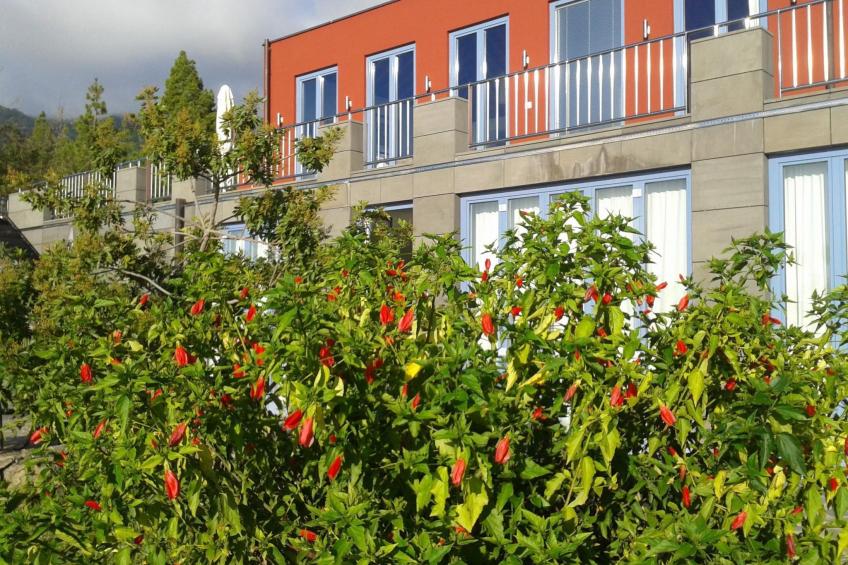 Villa Atlantico - foto 26