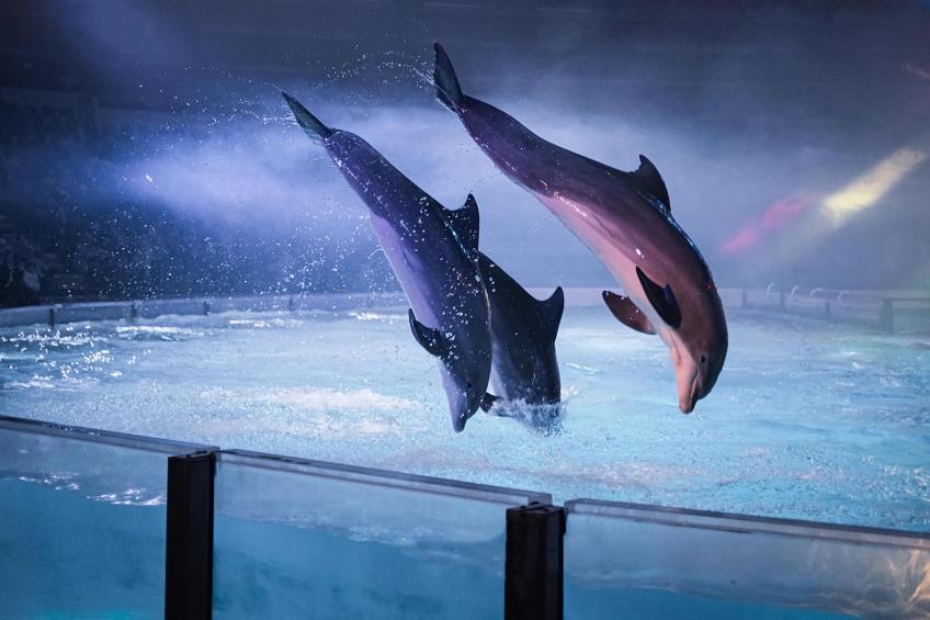 Landgoed de Lente 32 Sneeuwklokje Breskens - foto 20