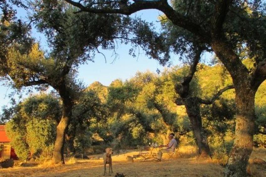 The Barn at Finca al-manzil - foto 20