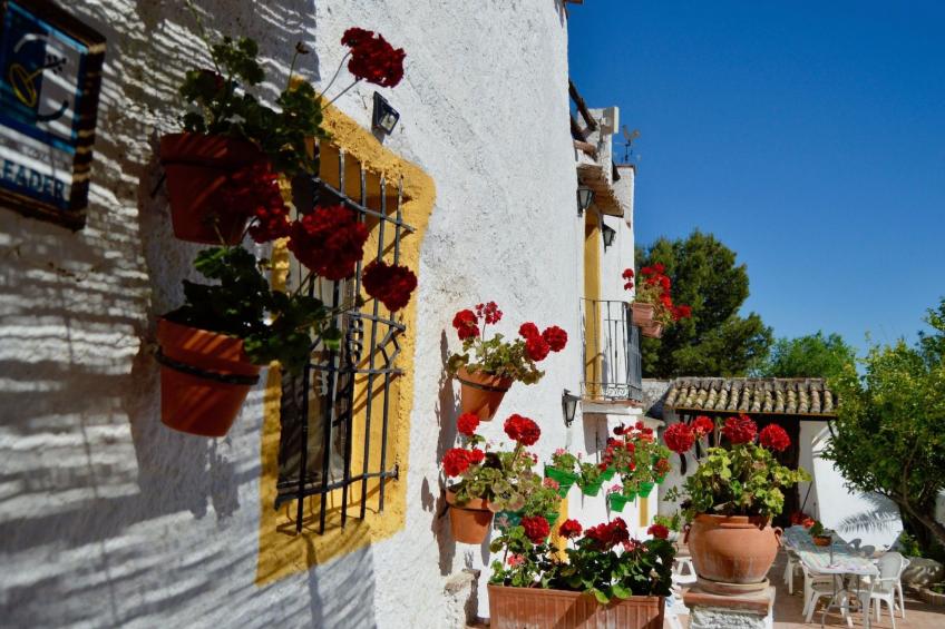 Cortijo Pulgarin Bajo - foto 5