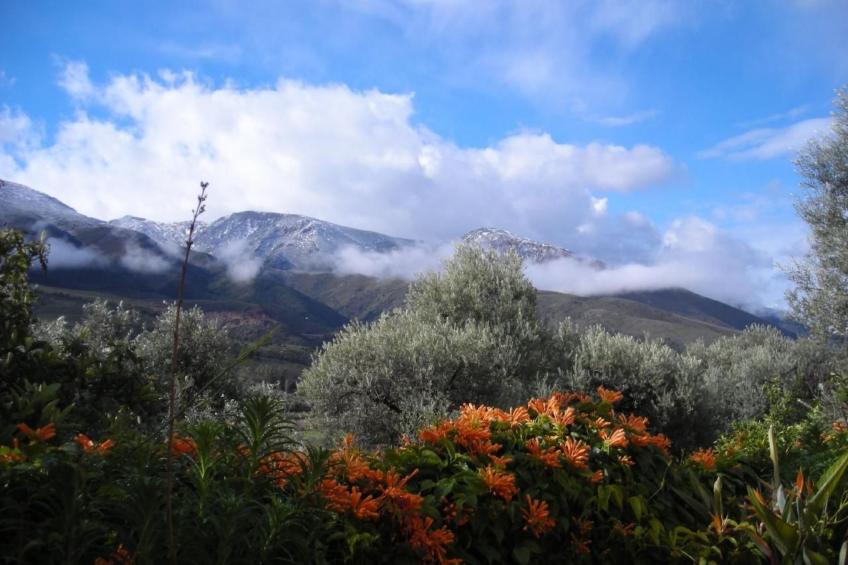 Gemütliches Ferienhaus in Tíjola mit Grill, Garten und Terrasse - foto 26