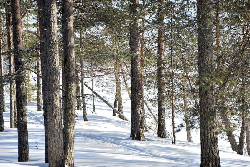 Villa livo - foto 35