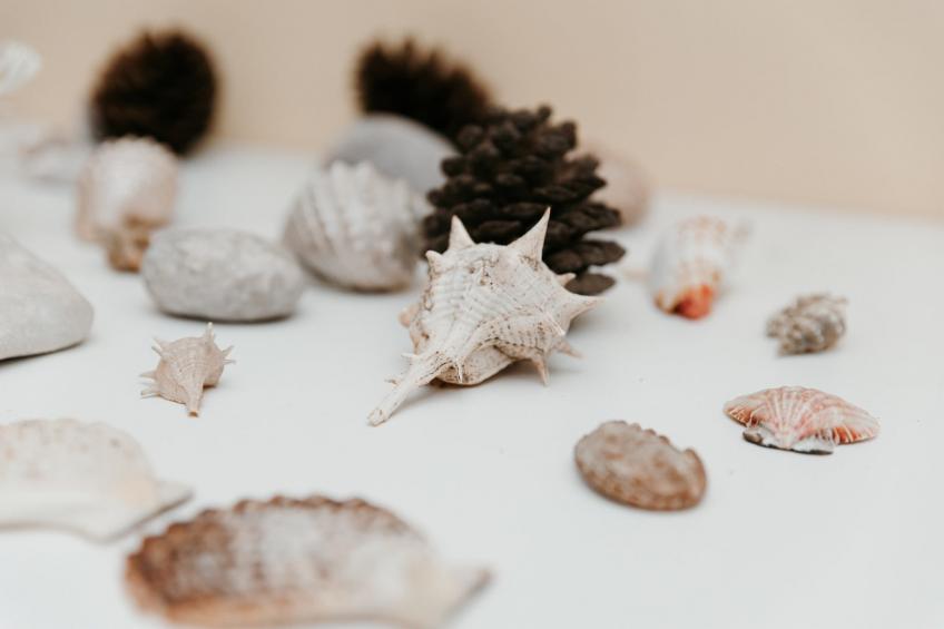 Apartments Dragobratović - One Bedroom Apartment with Balcony and Sea View (Apartment 5) - foto 40